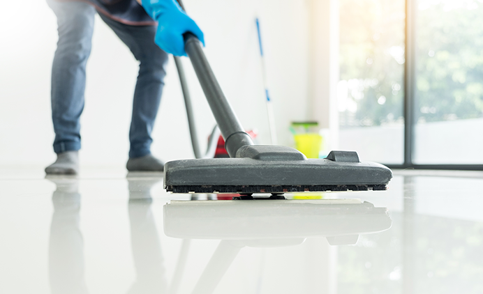 Domestic Assistance Services